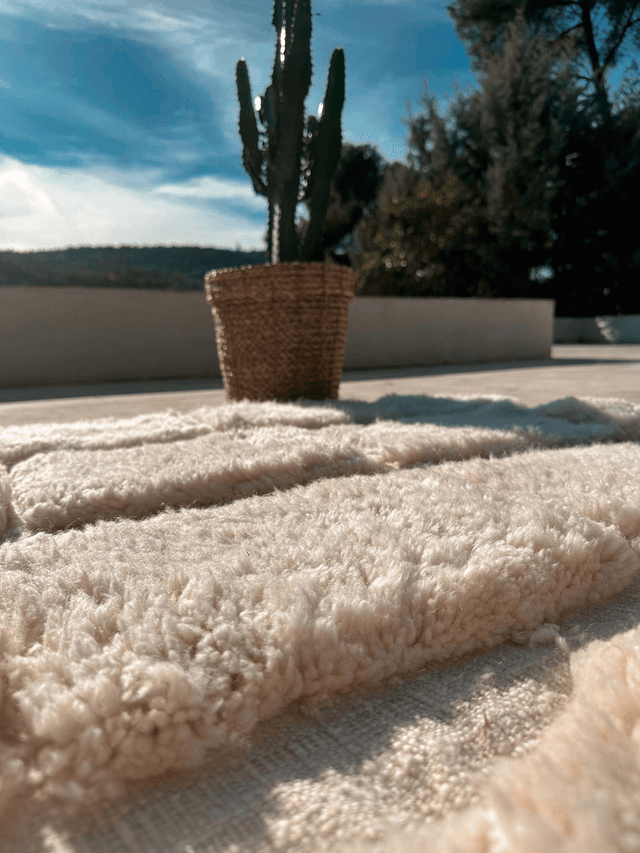 PETITS PETONS⎰1.50Mx2.40M⎱