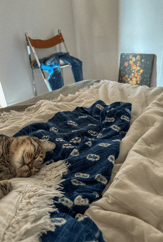 INDIGO